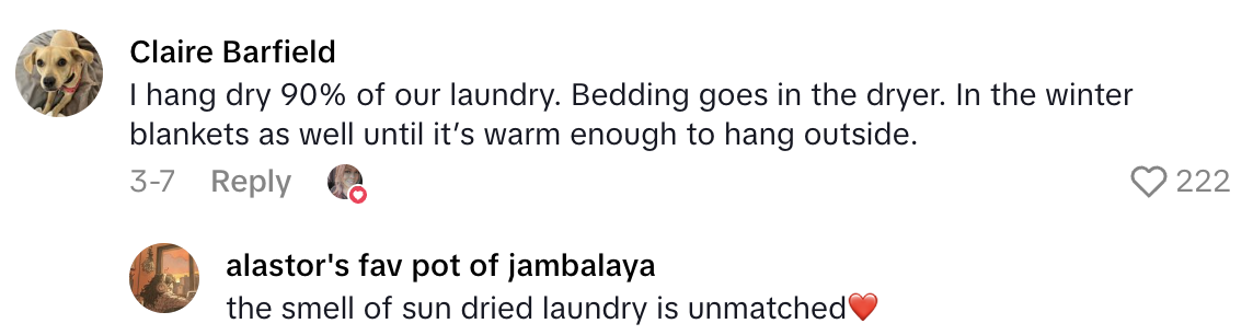 Screenshot 2025 07 06 at 6.16.28 PM A Homeowner Said Her Dryer Repairman Told Her Shes Lucky Her House Didnt Burn Down